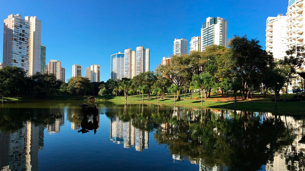 PROEMI studio | Design que gera impacto em vendas